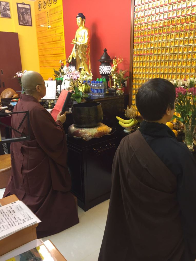 20161227224900_img_8913