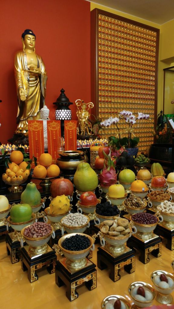 2017-01-08-photo-00001061